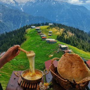 Pokut Yaylası Turu