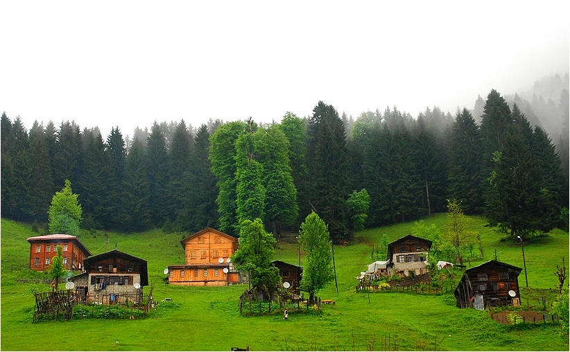 Ayder Yaylası