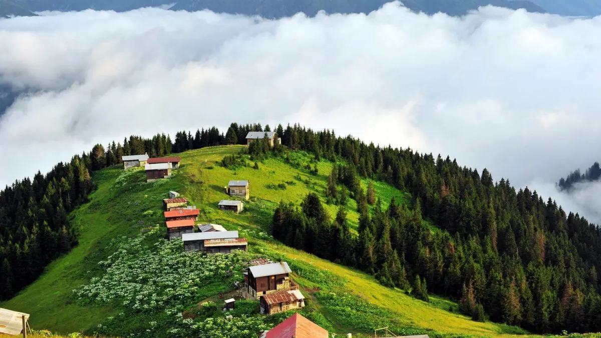 Pokut Yaylası