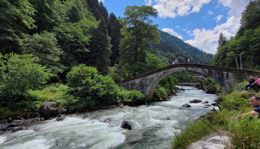 RİZE’DE YAYLA TURLARI: DOĞANIN KALBİNDE BİR KAÇAMAK