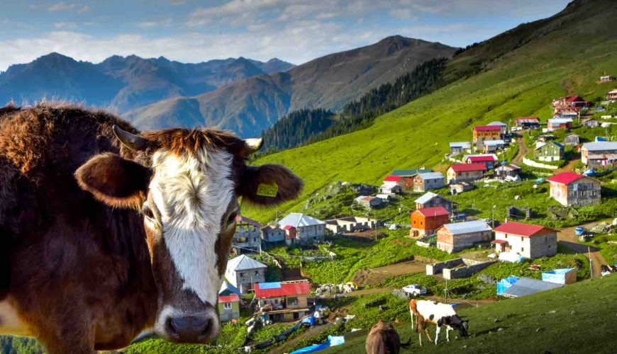 Rize’nin Karadeniz Kültürünü Yaylaları İle Keşfedin